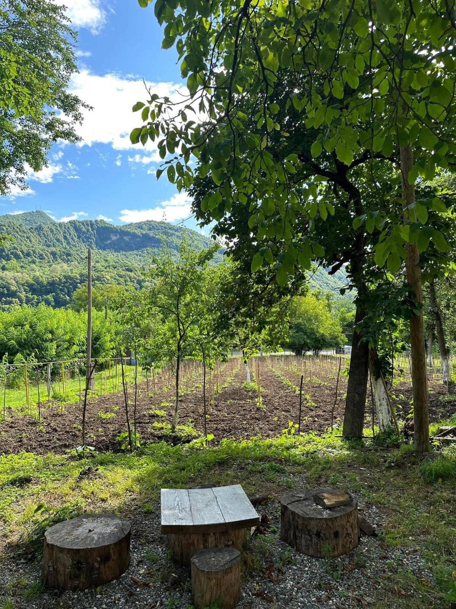 Kipiani Guest House Ყიფიანის Სახლი Khvanchkara Экстерьер фото