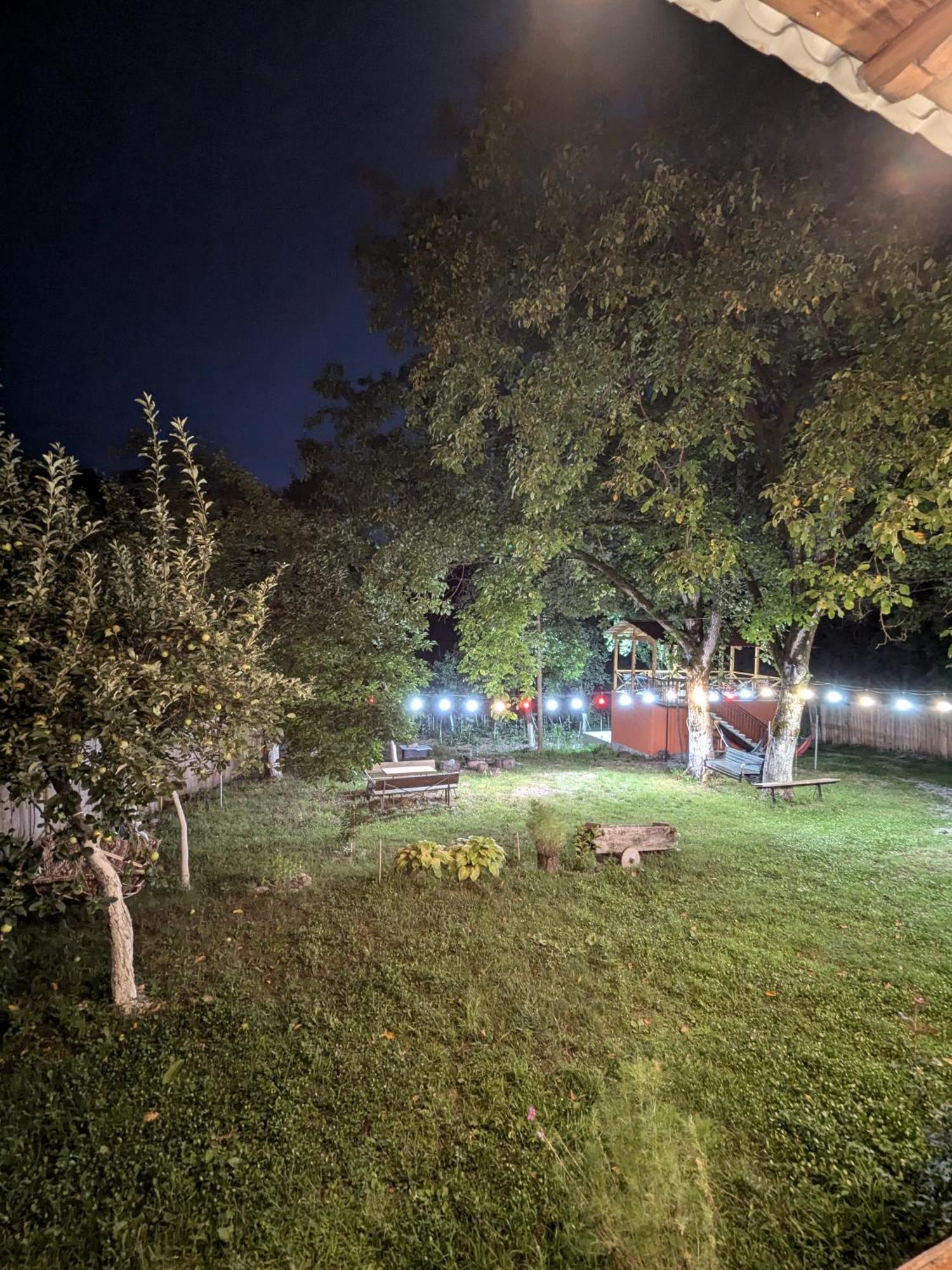 Kipiani Guest House Ყიფიანის Სახლი Khvanchkara Экстерьер фото